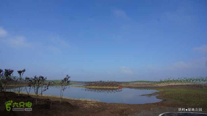 铁岭湿地公园DSC00136-001