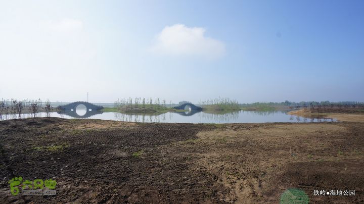 铁岭湿地公园DSC00141-001