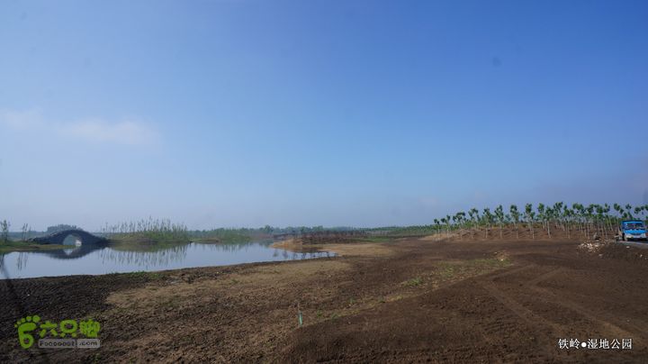 铁岭湿地公园DSC00148-001