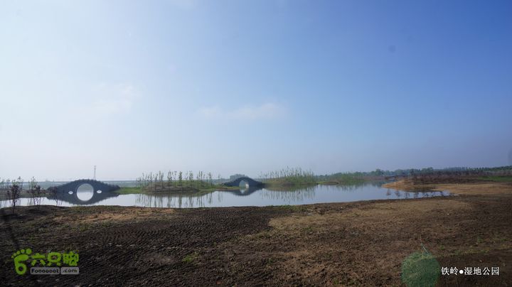 铁岭湿地公园DSC00149-001