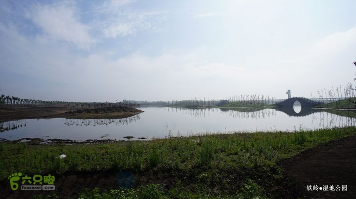 铁岭湿地公园DSC00150-001