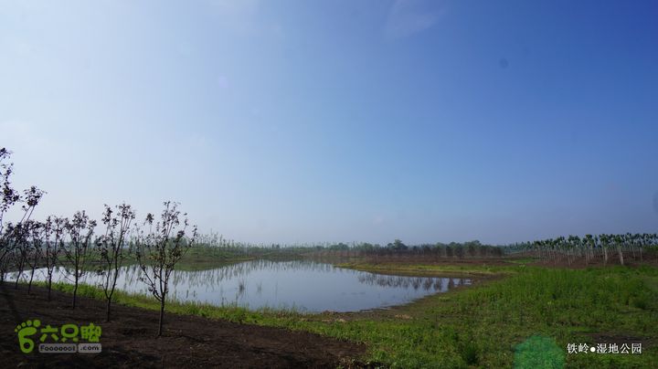 铁岭湿地公园DSC00152-001
