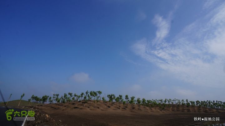 铁岭湿地公园DSC00154-001