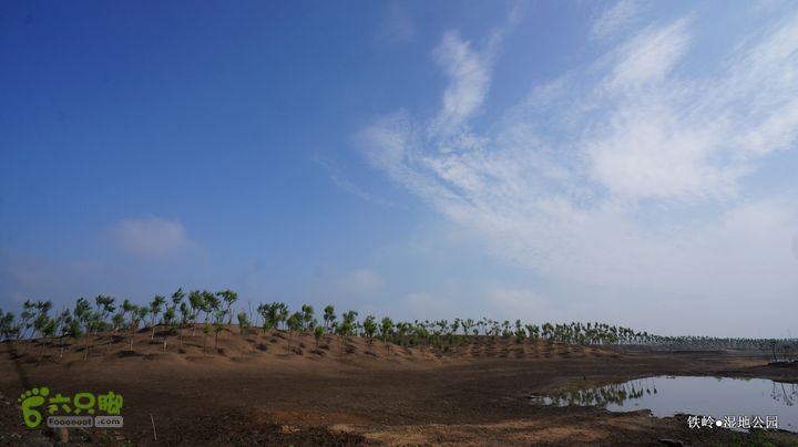 铁岭湿地公园DSC00155-001