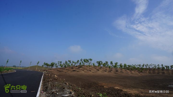 铁岭湿地公园DSC00156-001