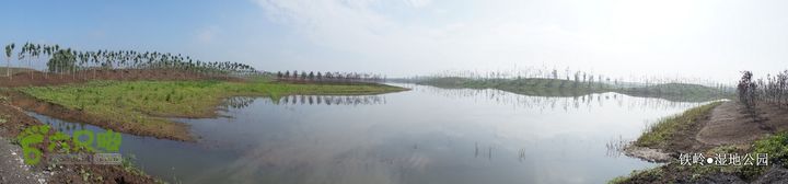 铁岭湿地公园DSC00161-001
