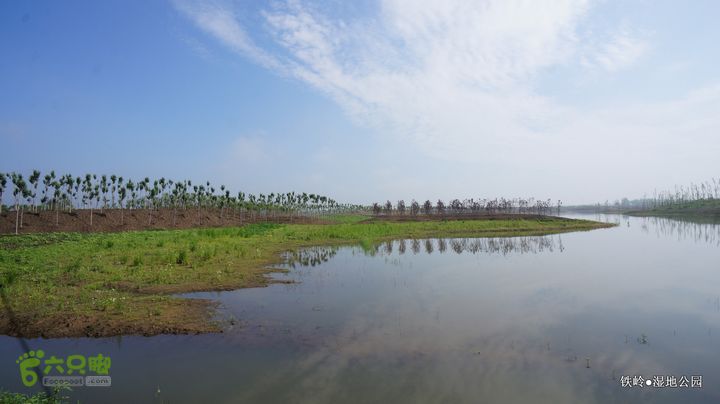 铁岭湿地公园DSC00164-001