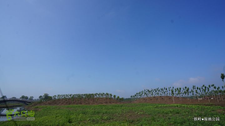 铁岭湿地公园DSC00166-001