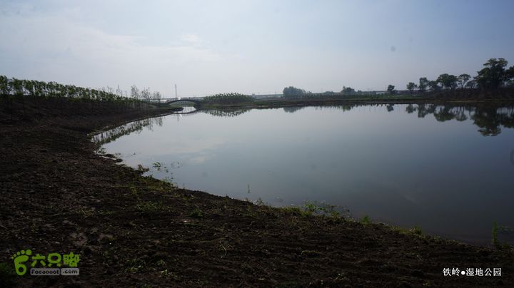铁岭湿地公园DSC00171-001
