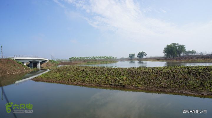 铁岭湿地公园DSC00174-001