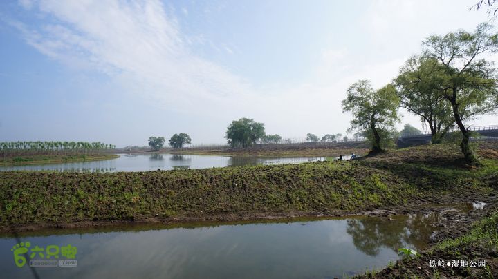 铁岭湿地公园DSC00175-001