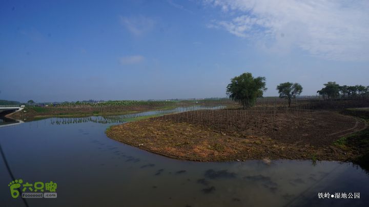 铁岭湿地公园DSC00176-001