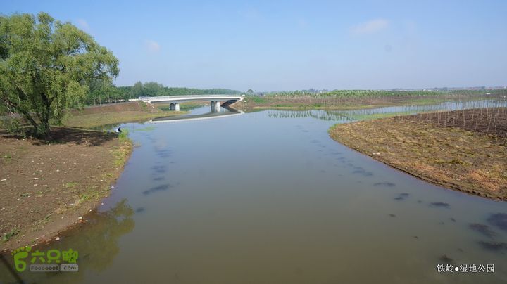 铁岭湿地公园DSC00177-001