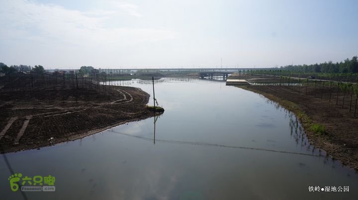 铁岭湿地公园DSC00178-001