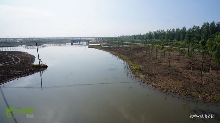 铁岭湿地公园DSC00179-001