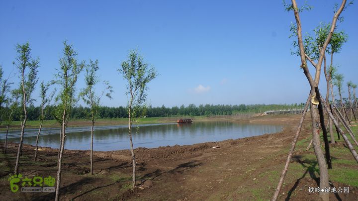 铁岭湿地公园DSC00180-001