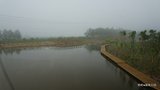 DSC00021-001
