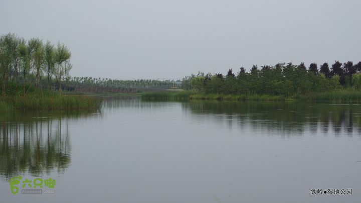 铁岭湿地公园DSC00161