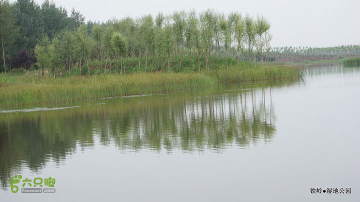 铁岭湿地公园DSC00162