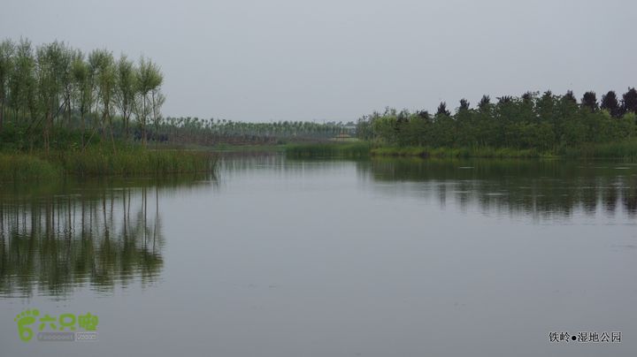 铁岭湿地公园DSC00164