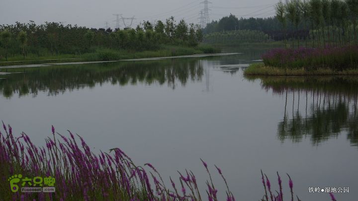 铁岭湿地公园DSC00209
