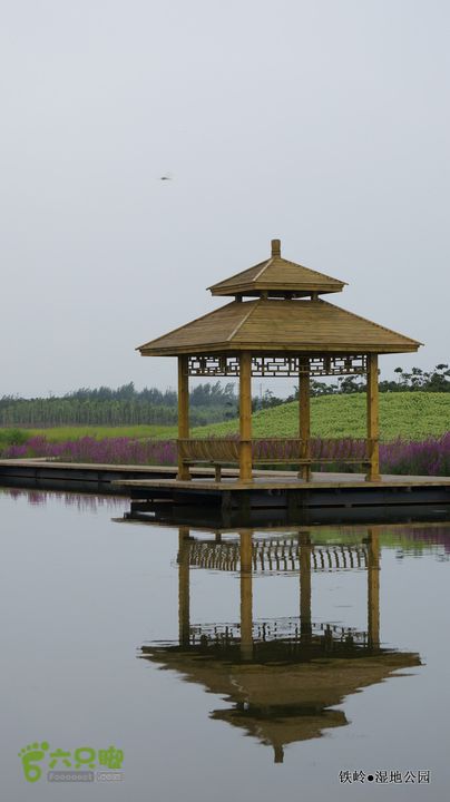 铁岭湿地公园DSC00211