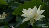 DSC00008