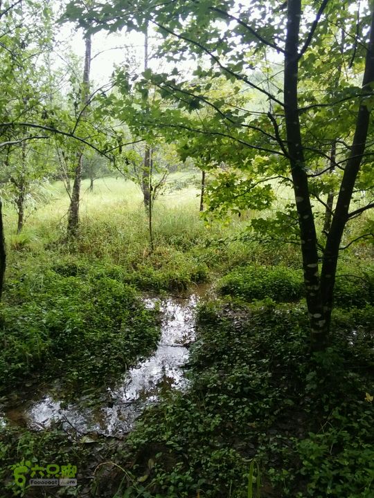 黄山168全线前往考坑