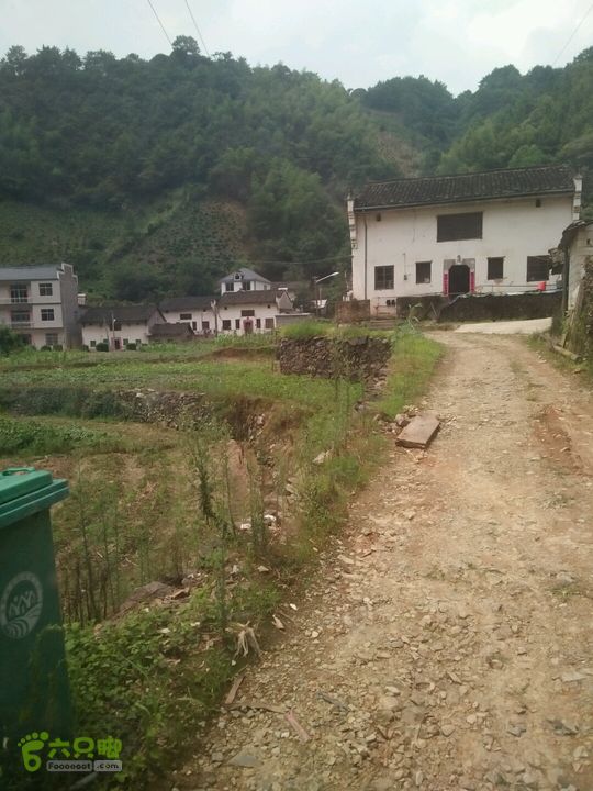 黄山168全线黄坞