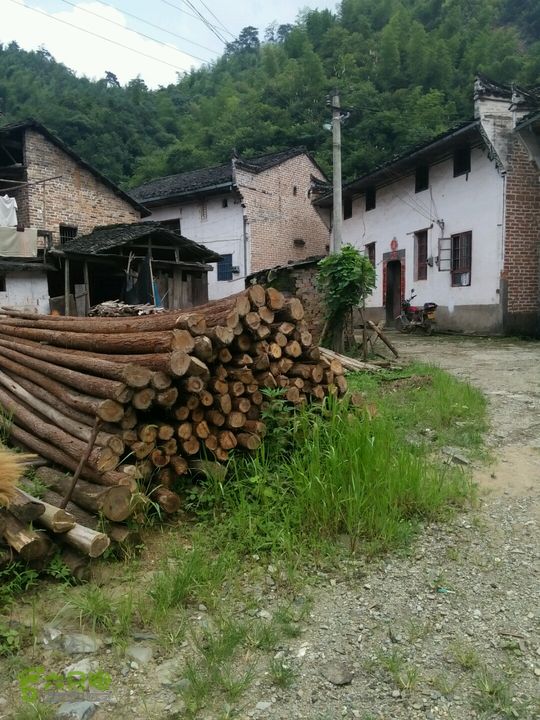 黄山168全线黄庄村