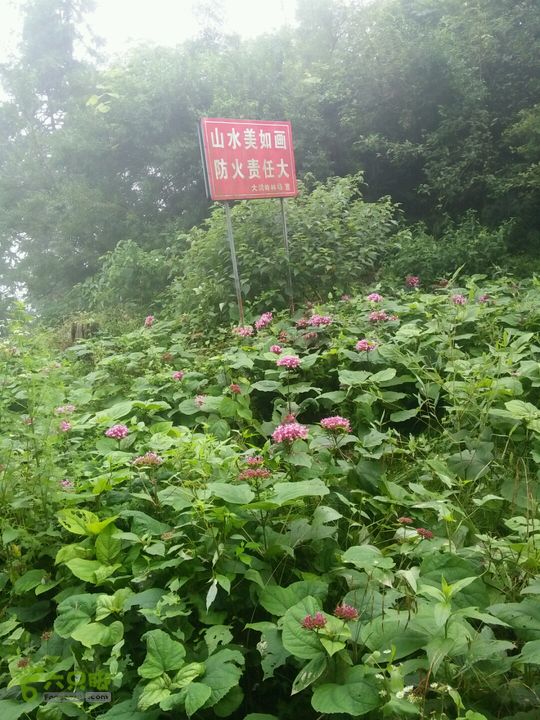 黄山168全线大红古道山顶