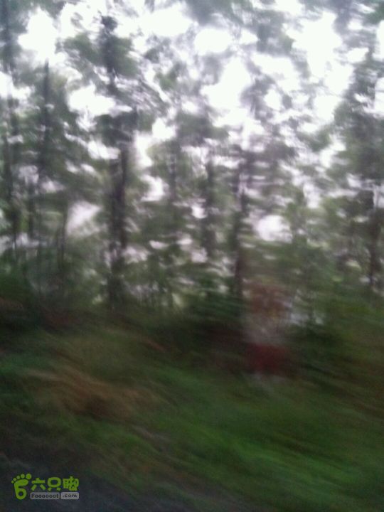 黄山168全线棍子岭山顶