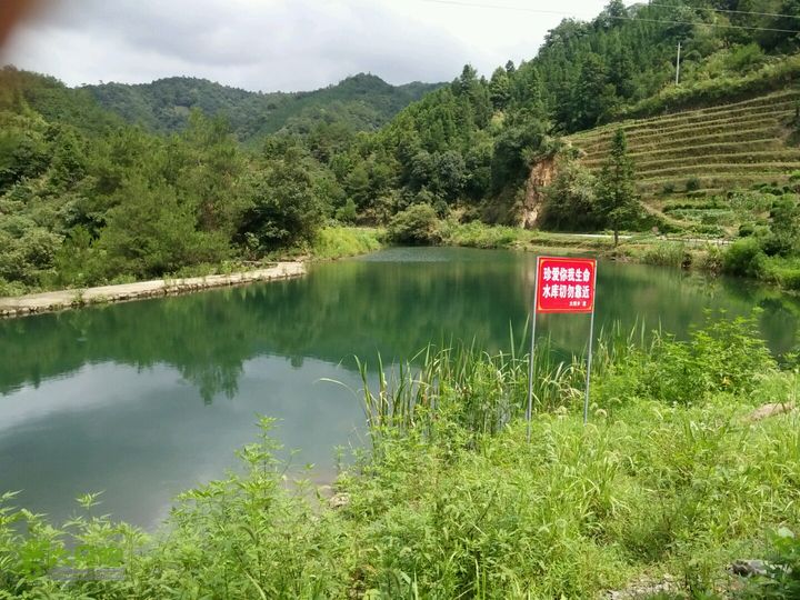 黄山168全线名利村