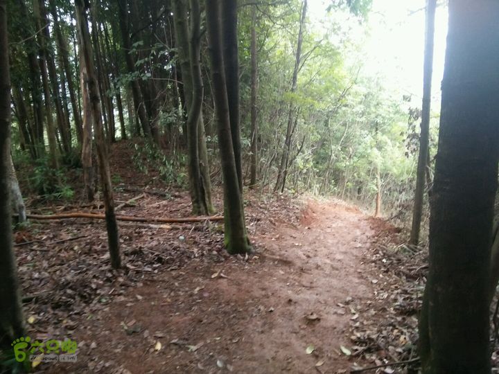 黄山168全线易县古村落