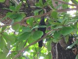 IMG_0190