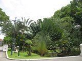 IMG_0191