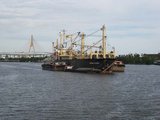 IMG_0255