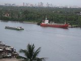 IMG_0318