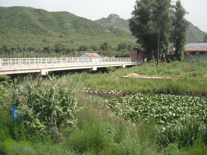 军响-杨家村折返DSCF5036