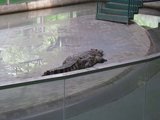 IMG_0033