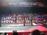 IMG_0181