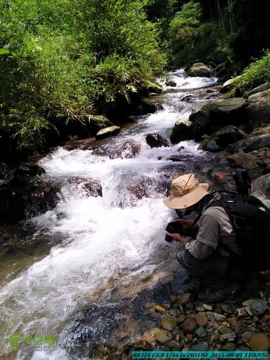 20150801-宛田乡楠木峡谷-观音田IMG20150801115751