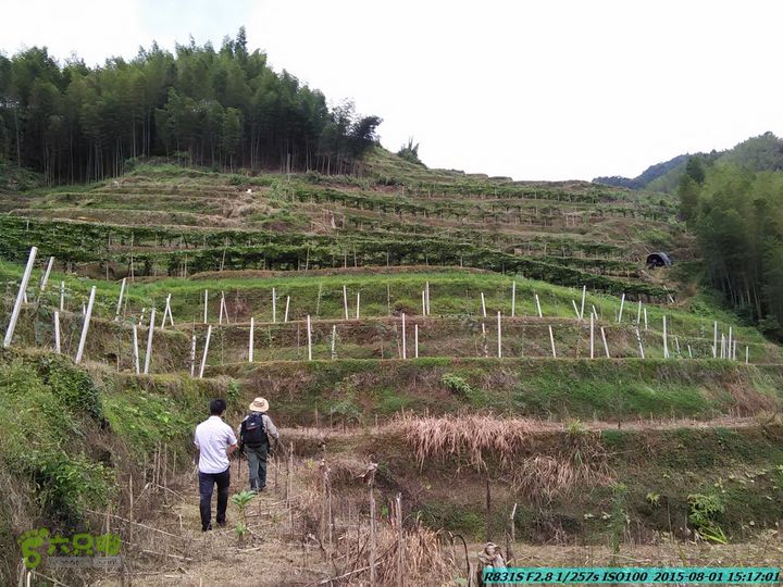 20150801-宛田乡楠木峡谷-观音田IMG20150801151701