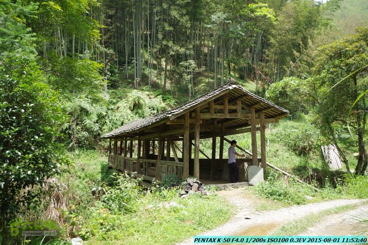 20150801-宛田乡楠木峡谷-观音田IMGP8717