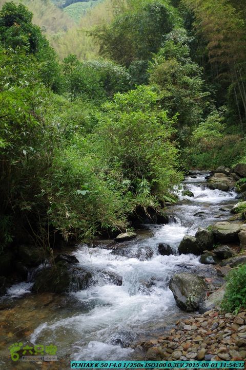 20150801-宛田乡楠木峡谷-观音田IMGP8720
