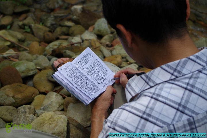 20150801-宛田乡楠木峡谷-观音田IMGP8721