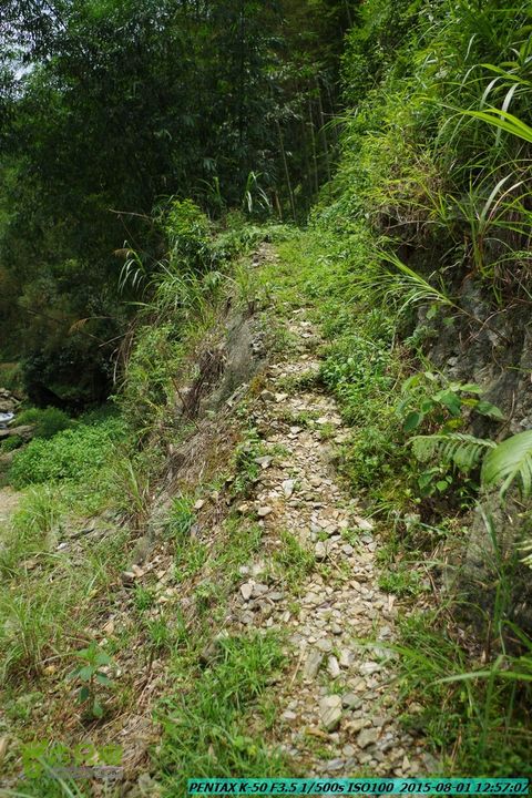 20150801-宛田乡楠木峡谷-观音田IMGP8744