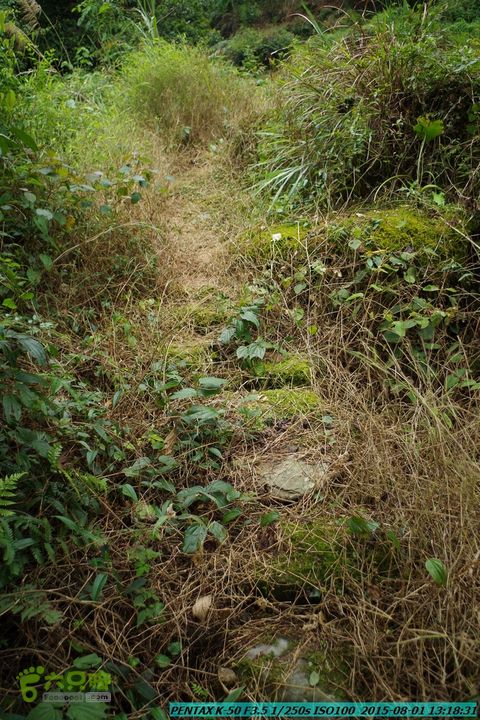 20150801-宛田乡楠木峡谷-观音田IMGP8753