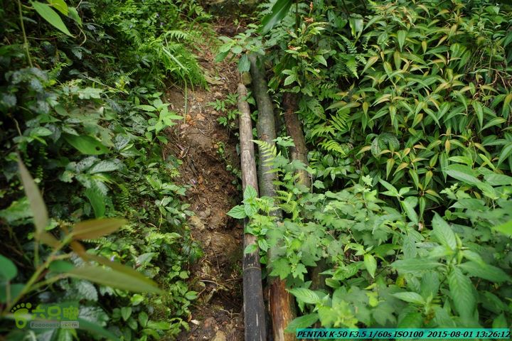 20150801-宛田乡楠木峡谷-观音田IMGP8757
