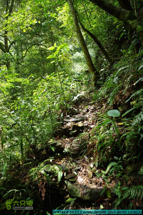 20150801-宛田乡楠木峡谷-观音田IMGP8759